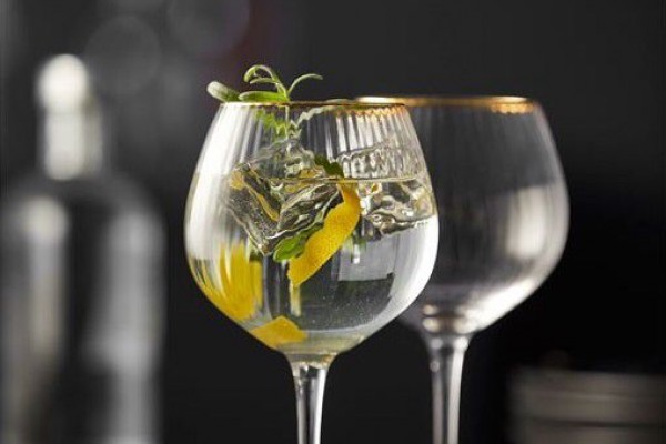 Letní osvěžení - Gin & Tonic